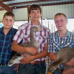 boys showing their animals