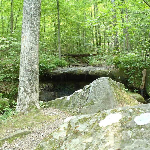 Hemlock Cliffs - Crawford County, Indiana